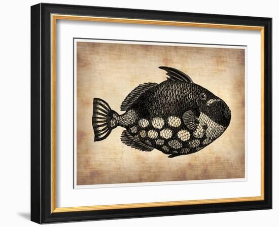 Vintage Fish-NaxArt-Framed Art Print