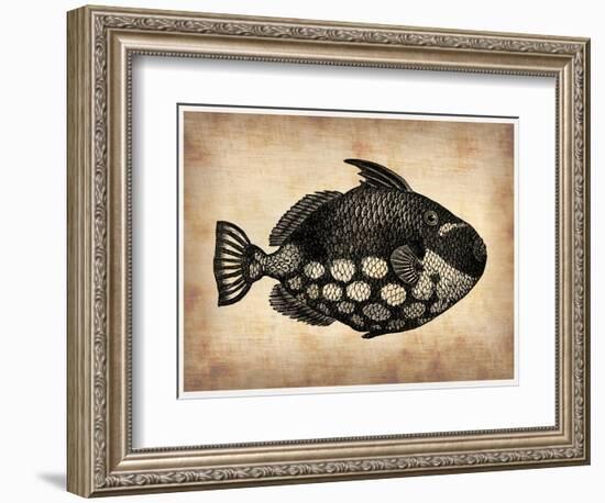 Vintage Fish-NaxArt-Framed Art Print