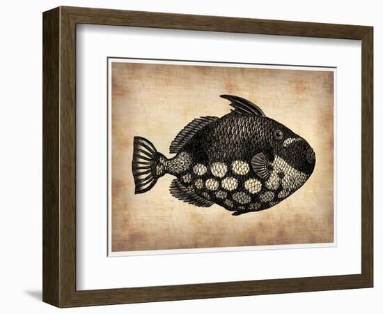 Vintage Fish-NaxArt-Framed Art Print