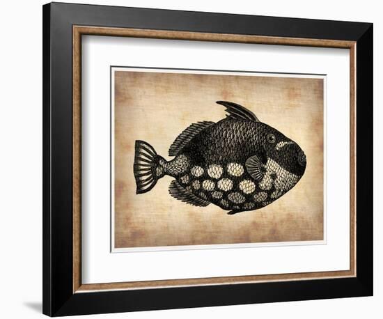 Vintage Fish-NaxArt-Framed Art Print