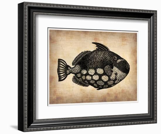 Vintage Fish-NaxArt-Framed Art Print