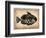 Vintage Fish-NaxArt-Framed Art Print