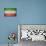Vintage Flag of Iran-salajean-Premium Giclee Print displayed on a wall