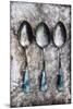 Vintage Flatware IV-James Guilliam-Mounted Giclee Print