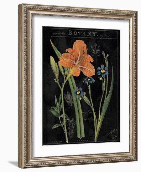 Vintage Flora II-Sue Schlabach-Framed Art Print