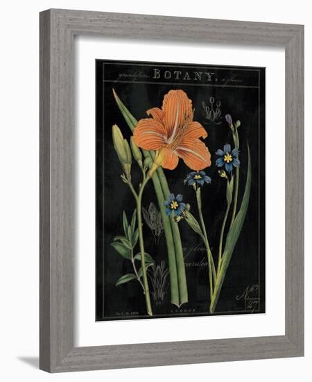 Vintage Flora II-Sue Schlabach-Framed Art Print