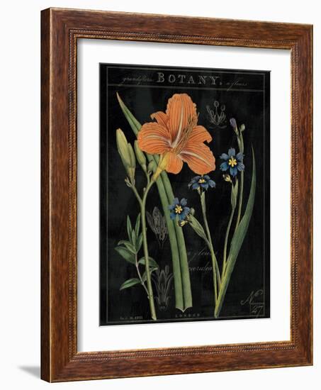 Vintage Flora II-Sue Schlabach-Framed Art Print