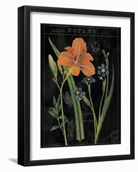 Vintage Flora II-Sue Schlabach-Framed Art Print