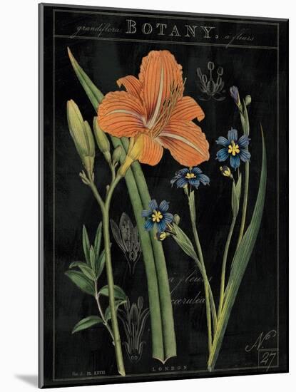 Vintage Flora II-Sue Schlabach-Mounted Art Print