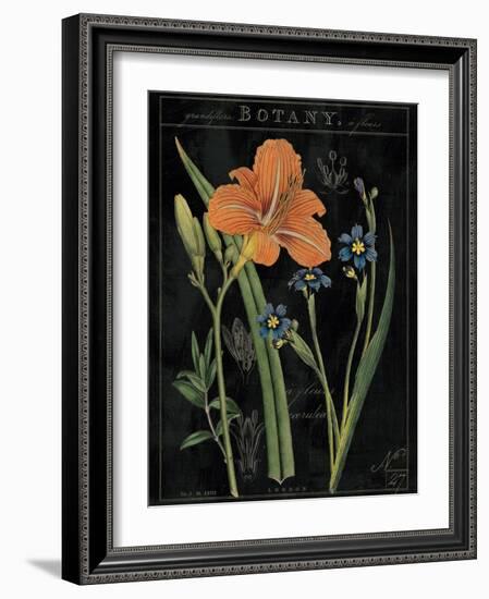 Vintage Flora II-Sue Schlabach-Framed Art Print