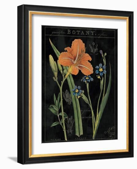 Vintage Flora II-Sue Schlabach-Framed Art Print