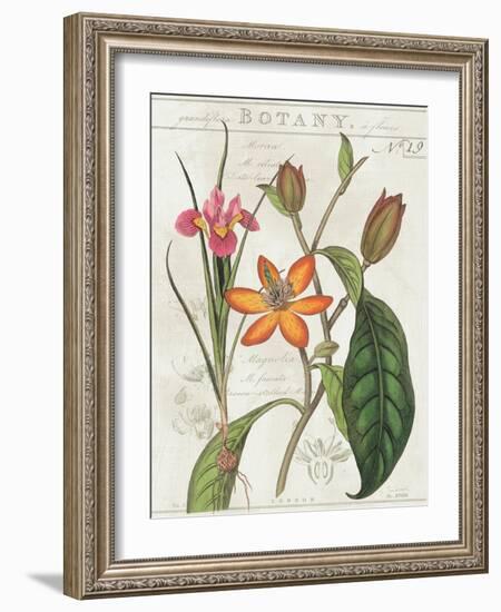 Vintage Flora III Ivory-Sue Schlabach-Framed Art Print