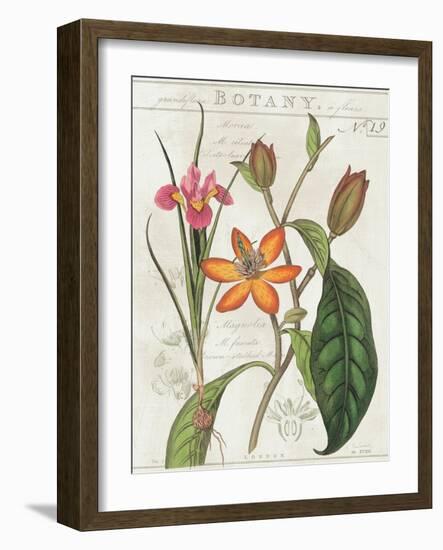 Vintage Flora III Ivory-Sue Schlabach-Framed Art Print