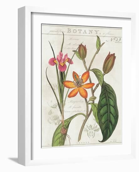 Vintage Flora III Ivory-Sue Schlabach-Framed Art Print