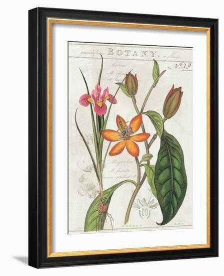 Vintage Flora III Ivory-Sue Schlabach-Framed Art Print