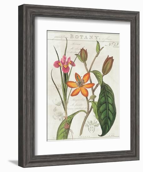 Vintage Flora III Ivory-Sue Schlabach-Framed Art Print