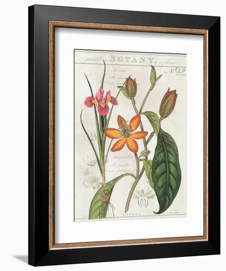 Vintage Flora III Ivory-Sue Schlabach-Framed Art Print