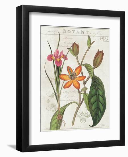 Vintage Flora III Ivory-Sue Schlabach-Framed Art Print