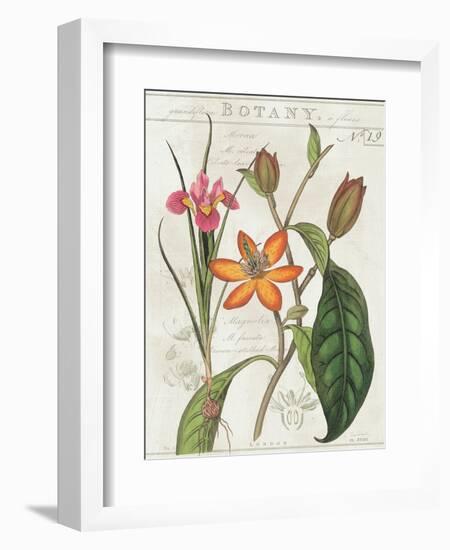 Vintage Flora III Ivory-Sue Schlabach-Framed Art Print