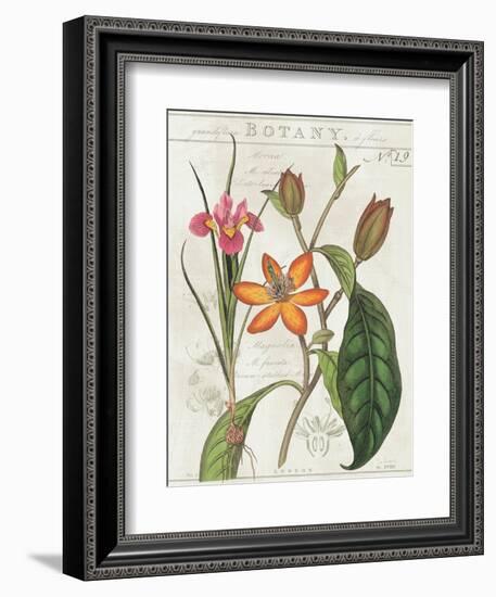 Vintage Flora III Ivory-Sue Schlabach-Framed Art Print