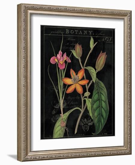 Vintage Flora III-Sue Schlabach-Framed Art Print