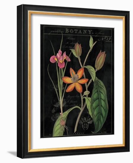 Vintage Flora III-Sue Schlabach-Framed Art Print