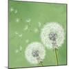 Vintage Floral Background With Dandelion-silvionka-Mounted Art Print