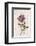 Vintage Flower I-Stephanie Monahan-Framed Art Print