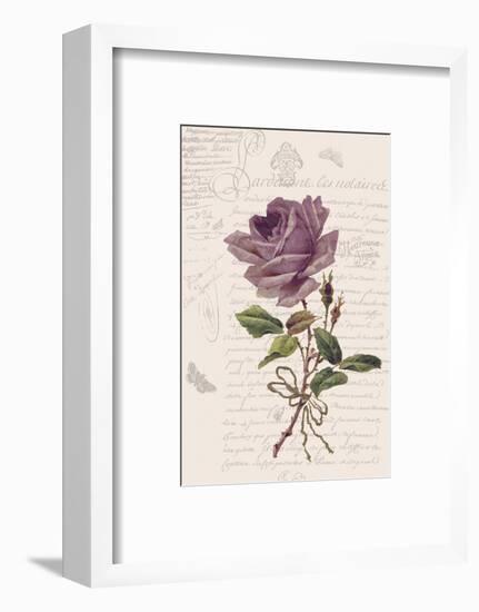 Vintage Flower I-Stephanie Monahan-Framed Art Print