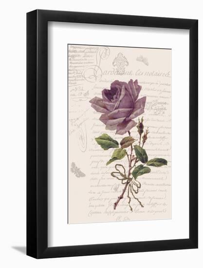 Vintage Flower I-Stephanie Monahan-Framed Art Print