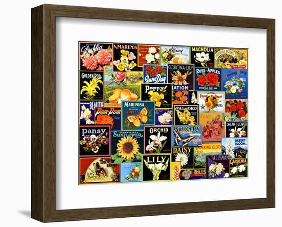 Vintage Flower Seed Packs-Kate Ward Thacker-Framed Giclee Print