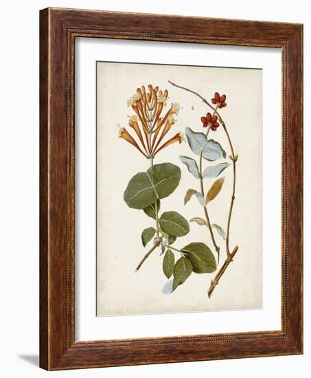 Vintage Flowering Trees IV-0 Unknown-Framed Art Print