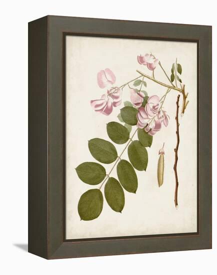 Vintage Flowering Trees VIII-0 Unknown-Framed Stretched Canvas