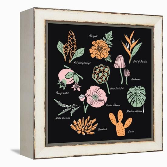 Vintage Flowers Illustration 1-Julie T-Framed Stretched Canvas