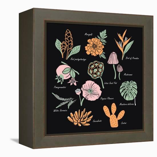 Vintage Flowers Illustration 1-Julie T-Framed Stretched Canvas