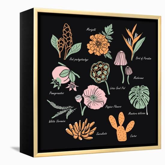 Vintage Flowers Illustration 1-Julie T-Framed Stretched Canvas