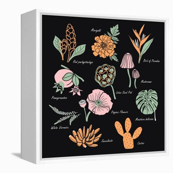 Vintage Flowers Illustration 1-Julie T-Framed Stretched Canvas