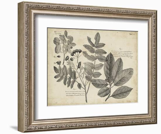 Vintage Folia V-Vision Studio-Framed Art Print