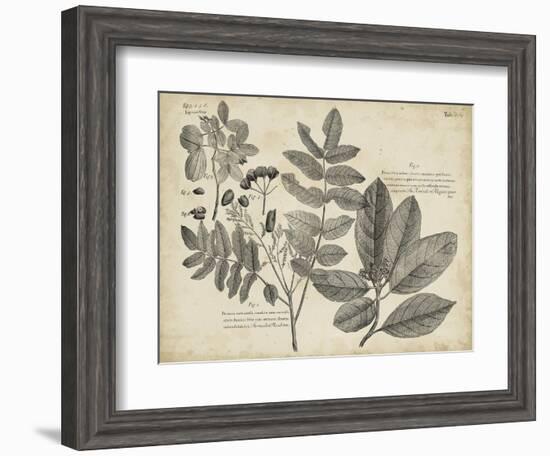 Vintage Folia V-Vision Studio-Framed Art Print