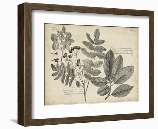 Vintage Folia V-Vision Studio-Framed Art Print