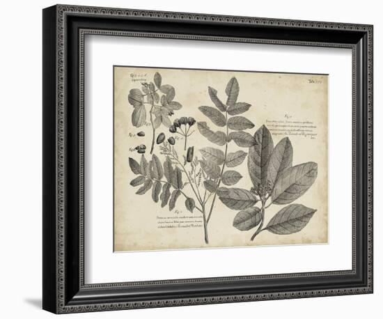 Vintage Folia V-Vision Studio-Framed Art Print