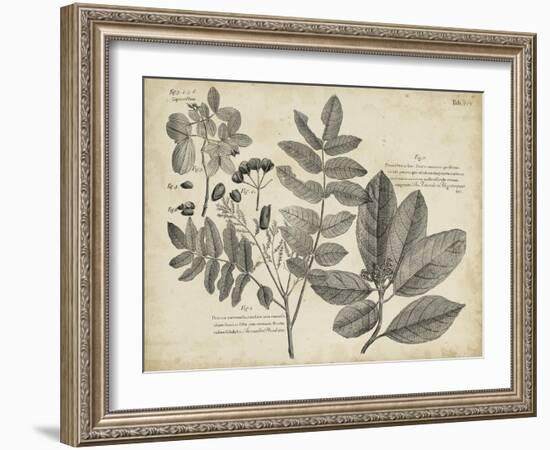 Vintage Folia V-Vision Studio-Framed Art Print