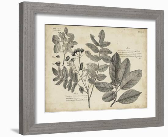 Vintage Folia V-Vision Studio-Framed Art Print