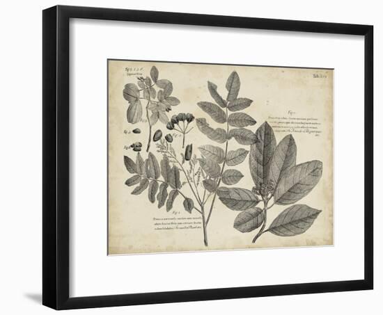 Vintage Folia V-Vision Studio-Framed Art Print