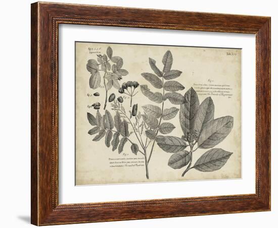 Vintage Folia V-Vision Studio-Framed Art Print