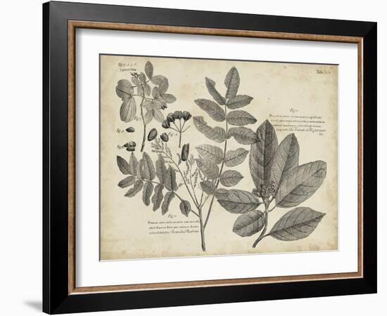 Vintage Folia V-Vision Studio-Framed Art Print