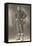 Vintage Football Player-null-Framed Stretched Canvas