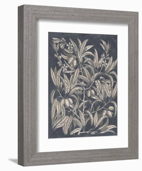 Vintage Fruit and Floral I-Megan Meagher-Framed Premium Giclee Print