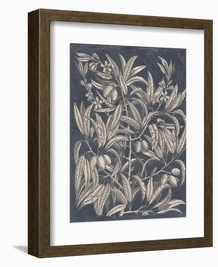 Vintage Fruit and Floral I-Megan Meagher-Framed Premium Giclee Print