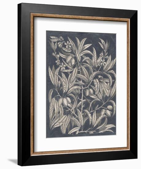 Vintage Fruit and Floral I-Megan Meagher-Framed Premium Giclee Print